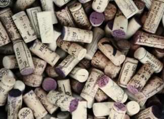 Де взяти ідею для бізнесу?