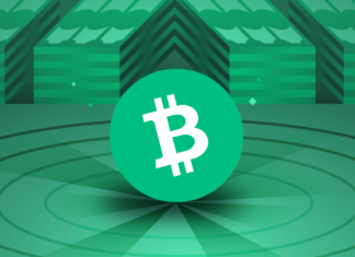 Криптовалюта Біткойн Кеш (BCH)