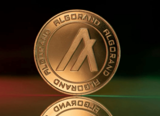 Криптовалюта Алгоранд (ALGO)