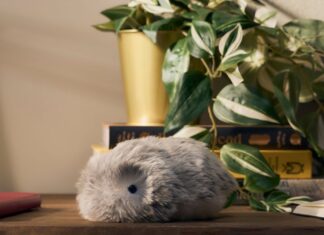 Пухнастий штучний робот від Casio потрапив у моє серце