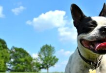 Тиждень у науці та культурі: від екстремального клімату до терапії ШІ