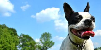 De week van wetenschap en cultuur: van klimaatextremen tot AI-therapie