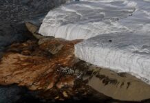 Hlavní události týdne: Od Krvavých vodopádů v Antarktidě po odmítnutí elektromobilů Lamborghini