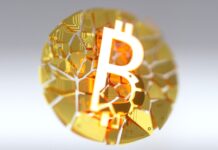 Як пережити падіння біткоїну: посібник з покупок під час криптокраху