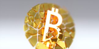 Naviguer dans la baisse du Bitcoin : un guide pour acheter pendant un crash cryptographique