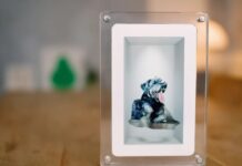 Технологічний Огляд: Нові Гаджети, Інструменти Конфіденційності та AI-Інтеграції