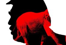 Розкол у русі: чи відокремлюється база MAGA від Трампа?