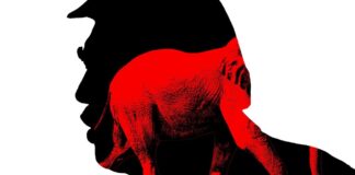 Rozłam w ruchu: czy baza MAGA oddziela się od Trumpa?