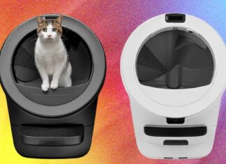 Подбор идеального варианта: Полное руководство по линейке наполнителей Whisker Litter-Robot