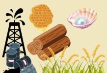 Чому сировина – це справжній двигун вашої економіки